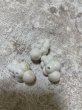 画像3: 雲ビーズオーロラホワイト系　横32.5mm 10個 (3)