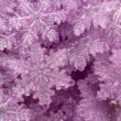 画像3: 夜光4ホールコネクター雪の結晶ビーズ　 幅約40mm 3個 (3)