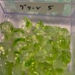 画像21: ガラスすずらんビーズ　約50個 (21)