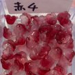 画像5: ガラスすずらんビーズ　約50個 (5)