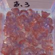 画像4: ガラスすずらんビーズ　約50個 (4)