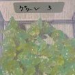 画像19: ガラスすずらんビーズ　約50個 (19)