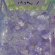 画像8: ガラスすずらんビーズ　約50個 (8)