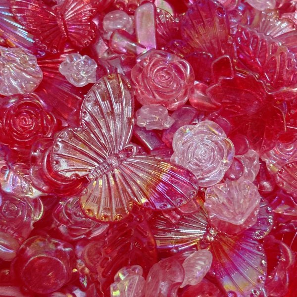 画像8: オーロラローズエデンmix　すくい (8)