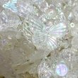 画像6: オーロラローズエデンmix　すくい (6)