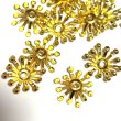 画像1: 花座花火約14mm　量り売り約30個 (1)