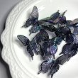 画像1: 特大蝶々ビーズ　オーロラクリアブラックバタフライ　量り売り10個 (1)