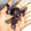画像2: 特大蝶々ビーズ　オーロラクリアブラックバタフライ　量り売り10個 (2)