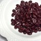 小豆ブラウンコッパーライン