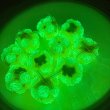 画像9: 夜光薔薇リボンビーズ　ハンドメイド陶器粘土系ビーズ (9)