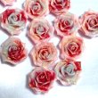 画像11: 夜光柔らか薔薇　ソフトローズ約10mm　量り売り　約40個 (11)