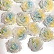 画像6: 夜光柔らか薔薇　ソフトローズ約10mm　量り売り　約40個 (6)