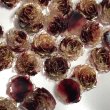 画像9: 夜光柔らか薔薇　ソフトローズ約10mm　量り売り　約40個 (9)