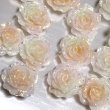 画像10: 夜光柔らか薔薇　ソフトローズ約10mm　量り売り　約40個 (10)