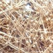画像4: 金具　玉ピン丸ピン　玉2mm 0.7×30mm (4)