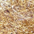 画像3: 金具　玉ピン丸ピン　玉2mm 0.7×30mm (3)