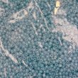 画像1: ガラスシードビーズ約2mm 量り売り約20g (1)