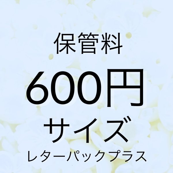 画像1: 保管料600円サイズ（レターパックプラス1つ分） (1)